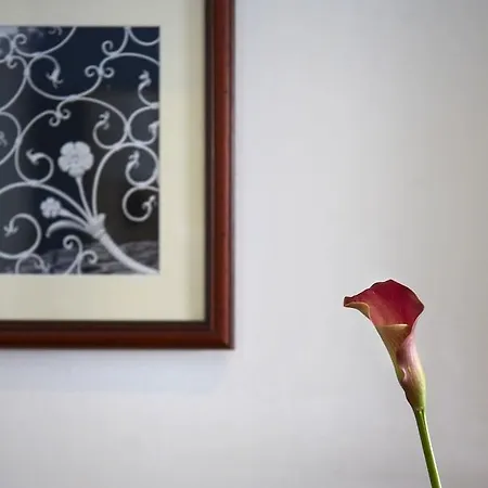 Hotel Astoria Designhotel Opatija